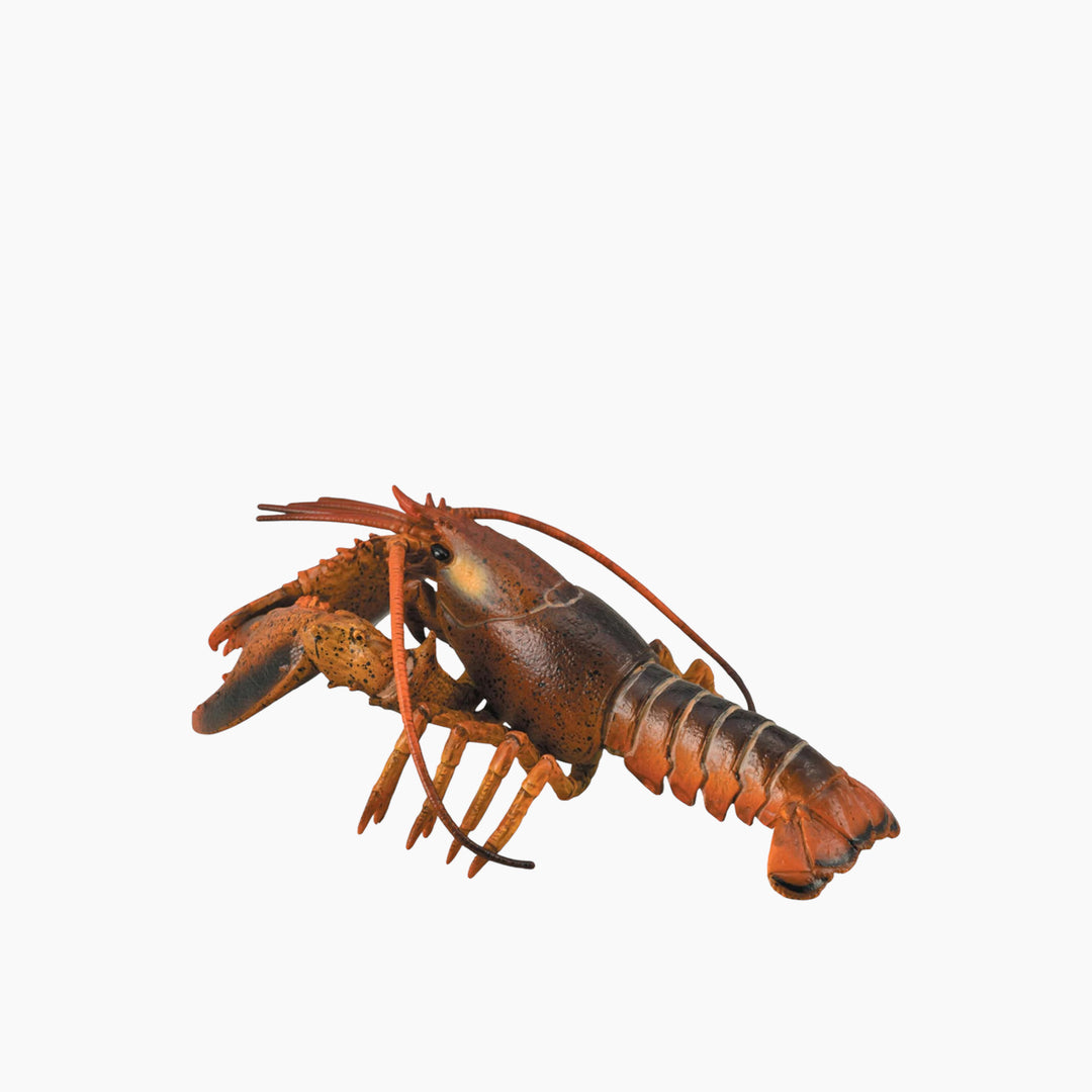 Collecta Lobster Animal Toy Figure