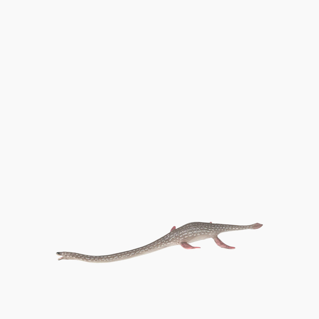 Collecta Elasmosaurus Animal Toy Figure