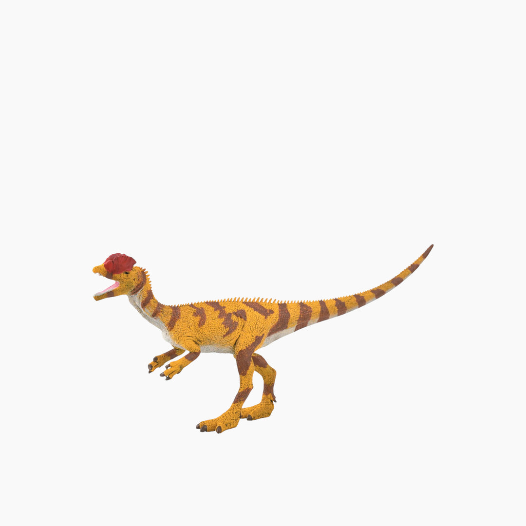 Collecta Dilophosaurus - 1:40 Scale Animal Toy Figure - HUNA