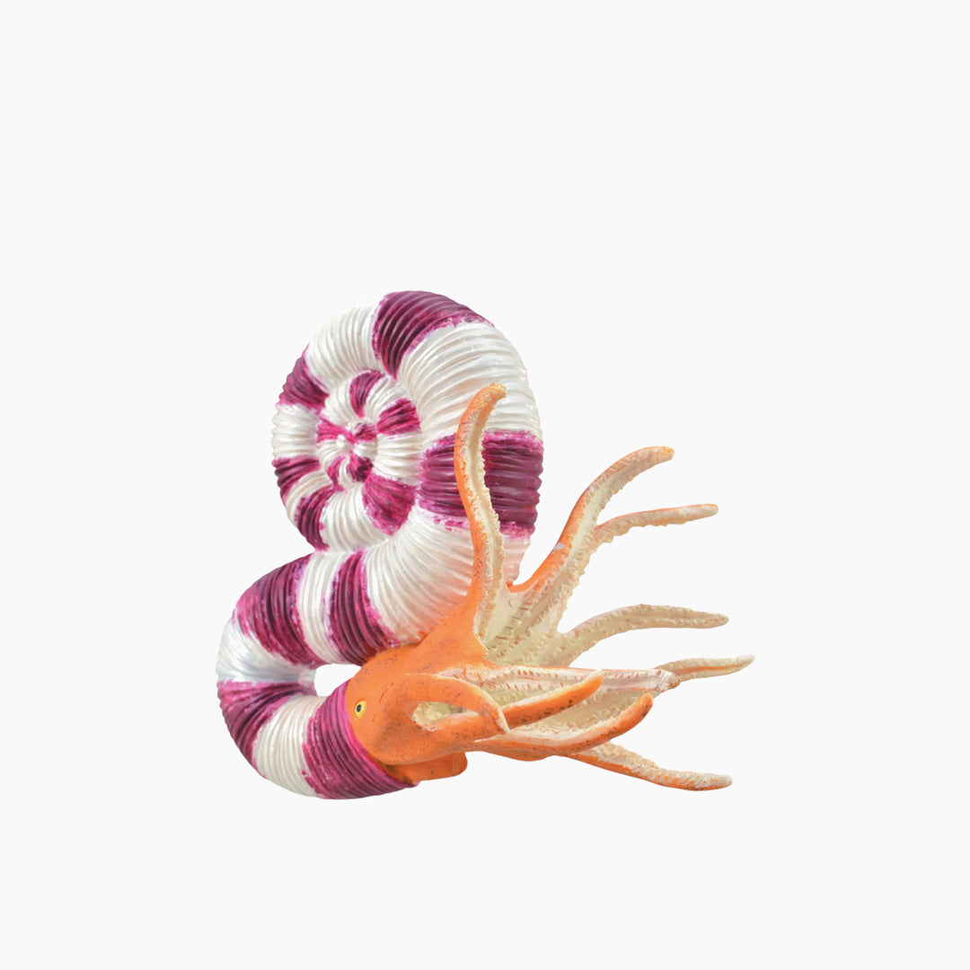 Collecta Pravitoceras Animal Toy Figure