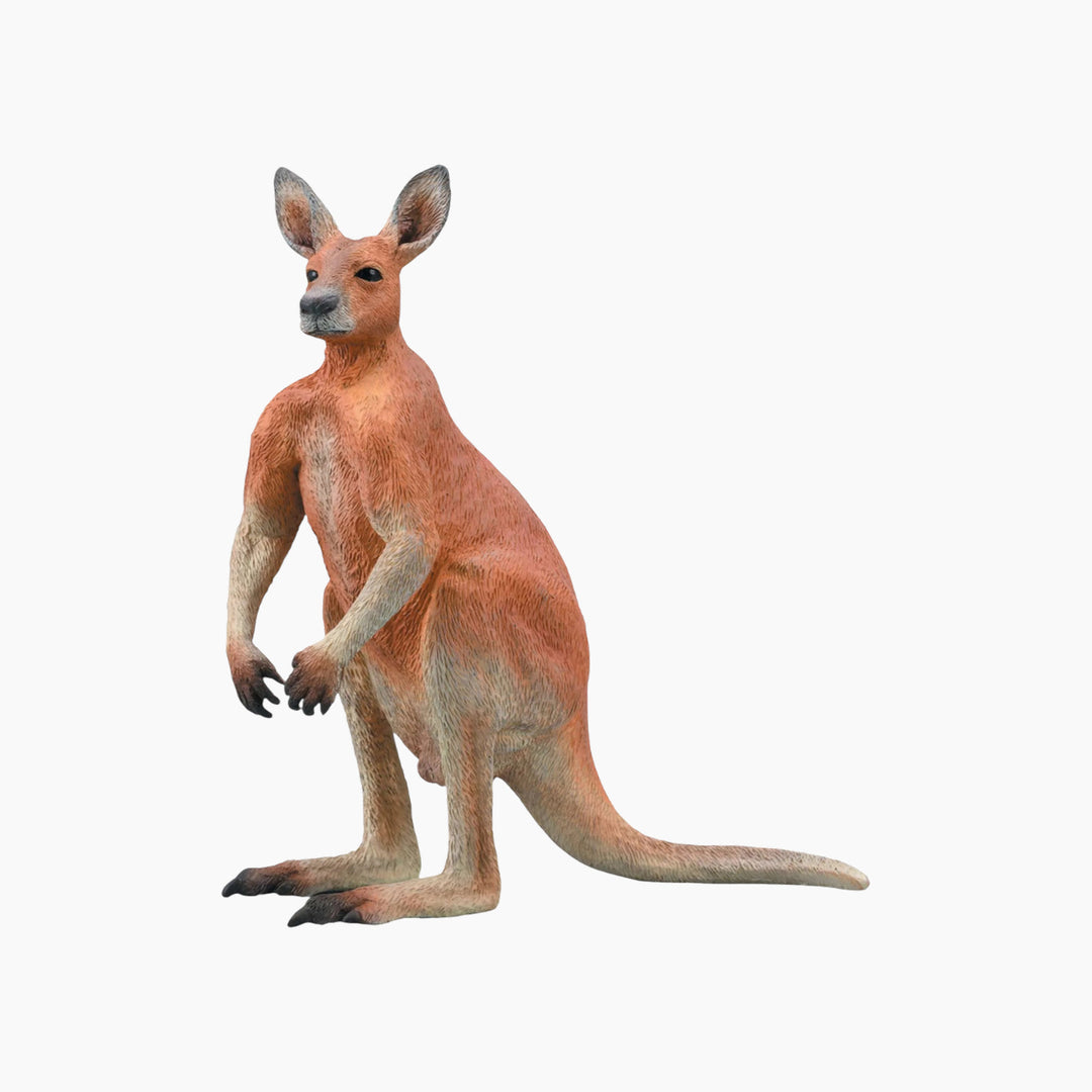 Collecta Red Kangaroo - Male Animal Toy Figure - HUNA