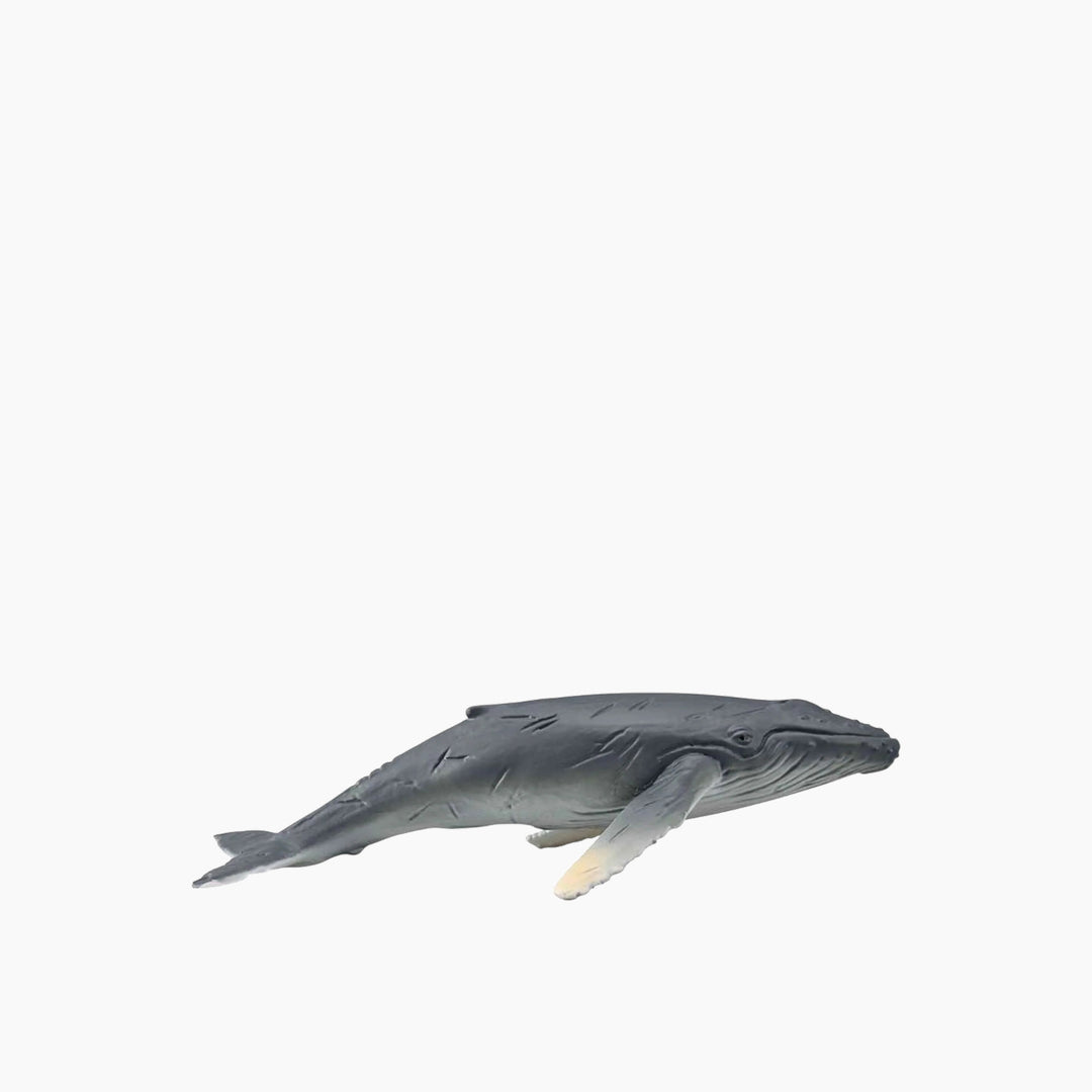 Collecta Humpback Whale Calf Animal Toy Figure