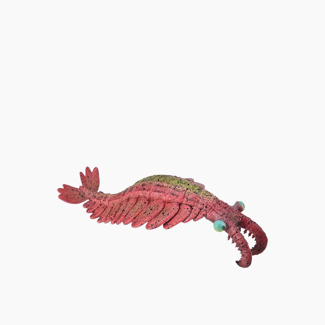 لعبة مجسم حيوان Anomalocaris من Collecta