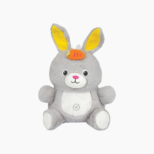 Winfun Play-With-Me Dance Pal- Bunny