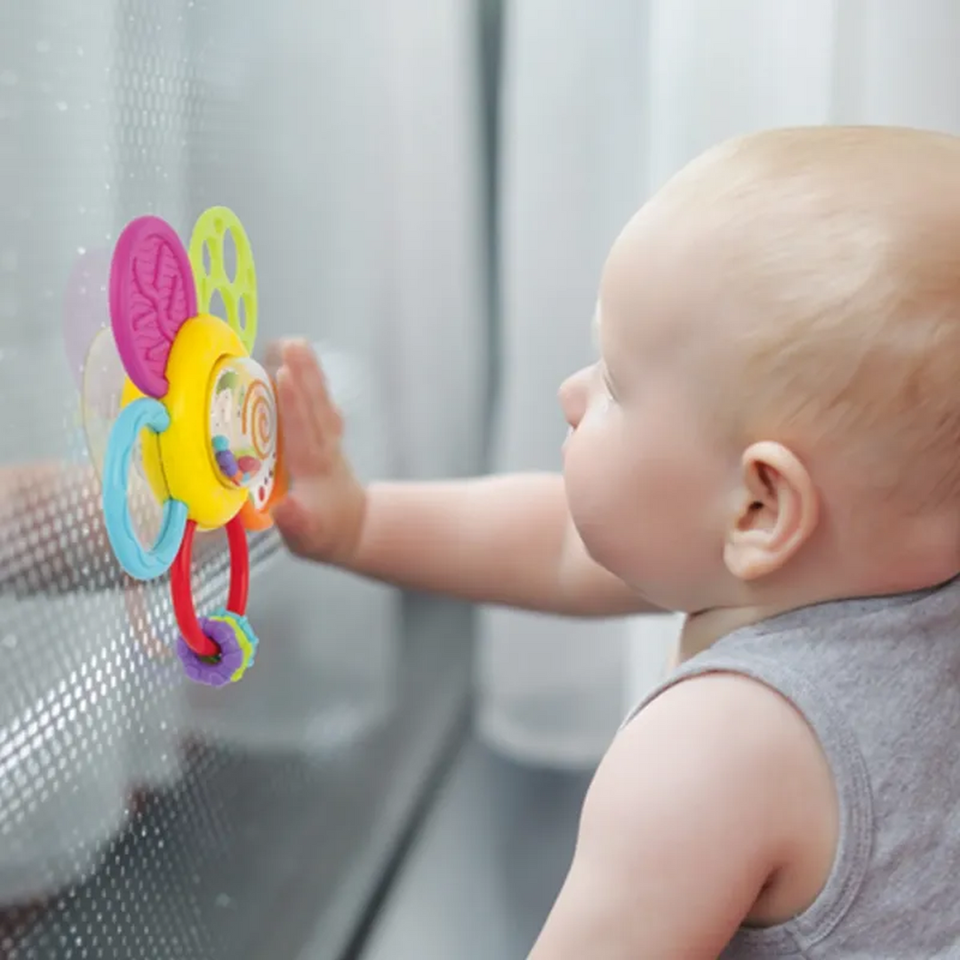 Winfun Daisy Spin Rattle &