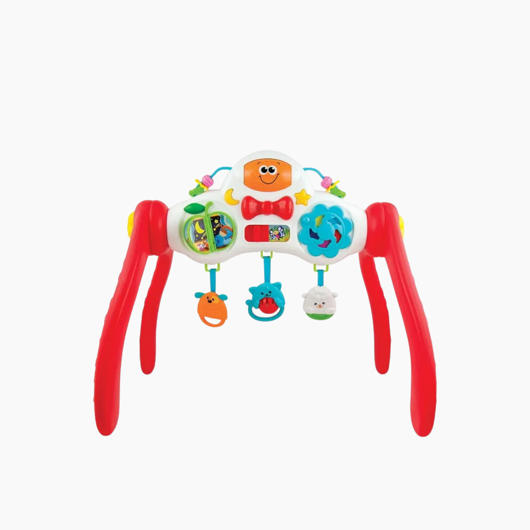Winfun Grow with Me Melody Gym activity center