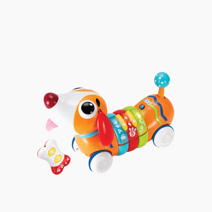 Winfun RC Rainbow Pup