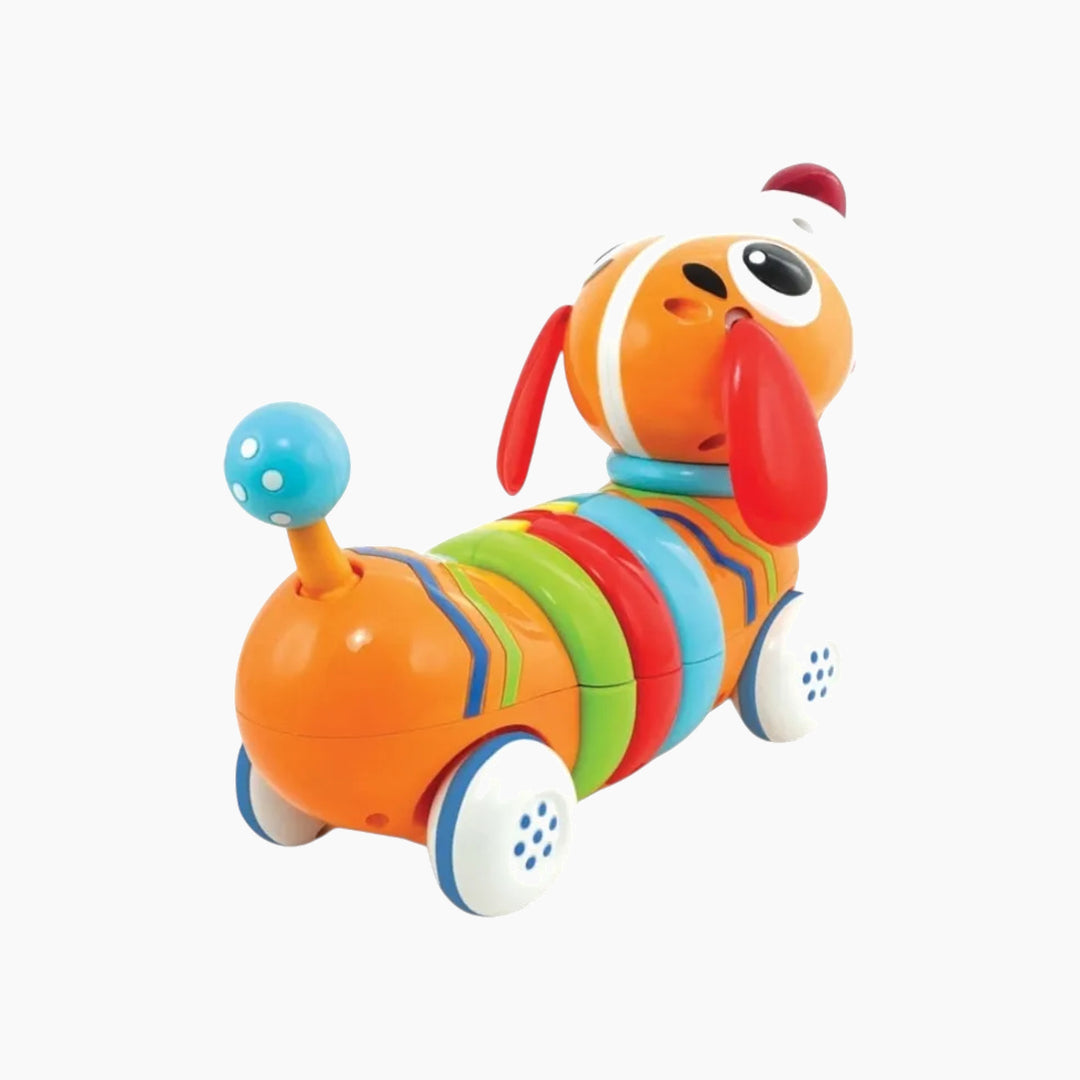 Winfun RC Rainbow Pup