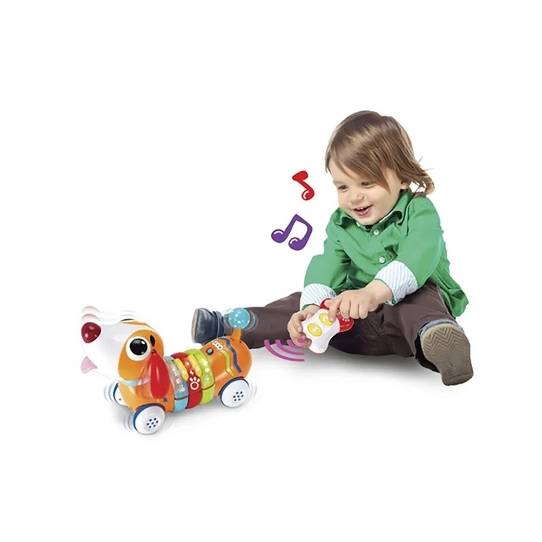 Winfun RC Rainbow Pup