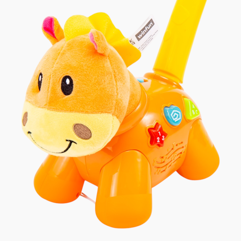 4895038542907Push_NWalk-Pony_1 - HUNA