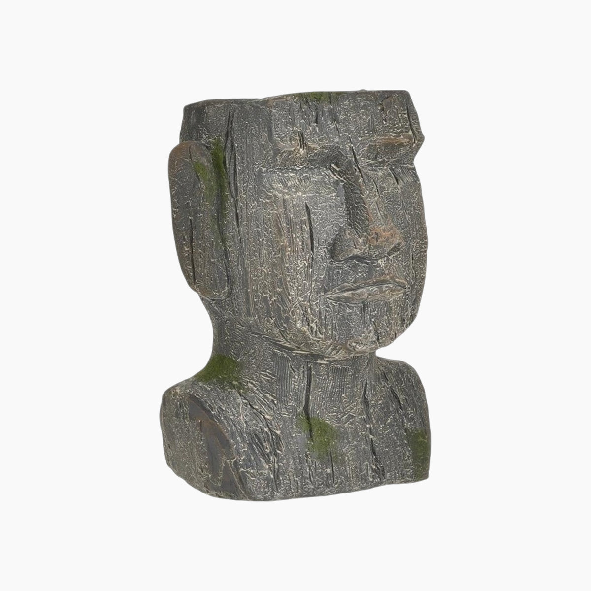 Bold Face Pot decorative accessory