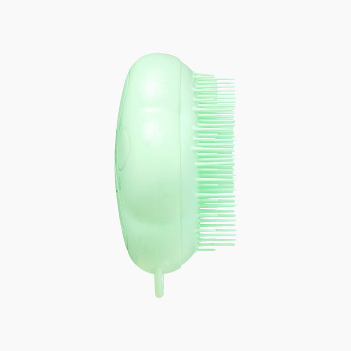 Pet Teezer - Cat Brush
