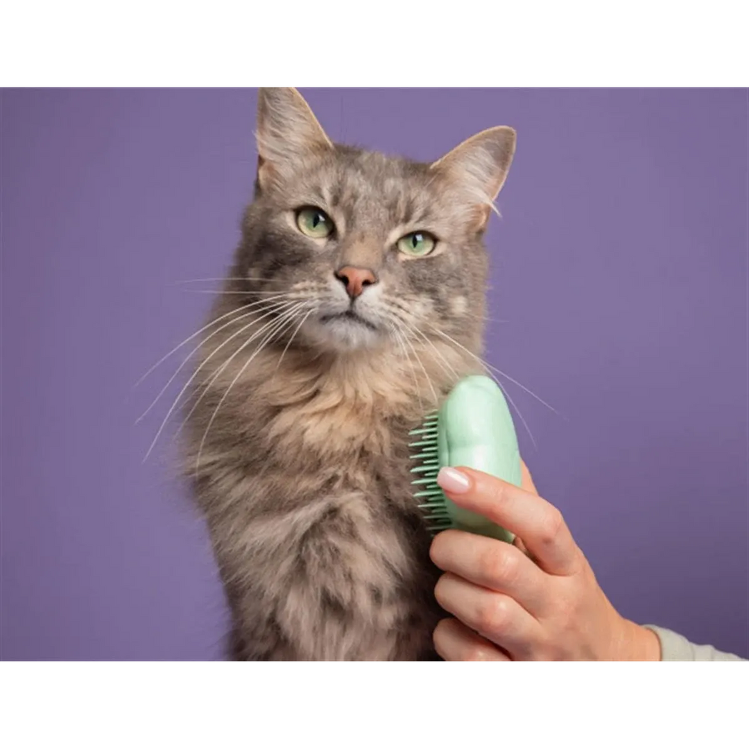 Pet Teezer - Cat Brush