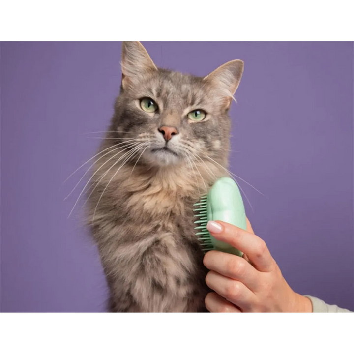 Pet Teezer - Cat Brush