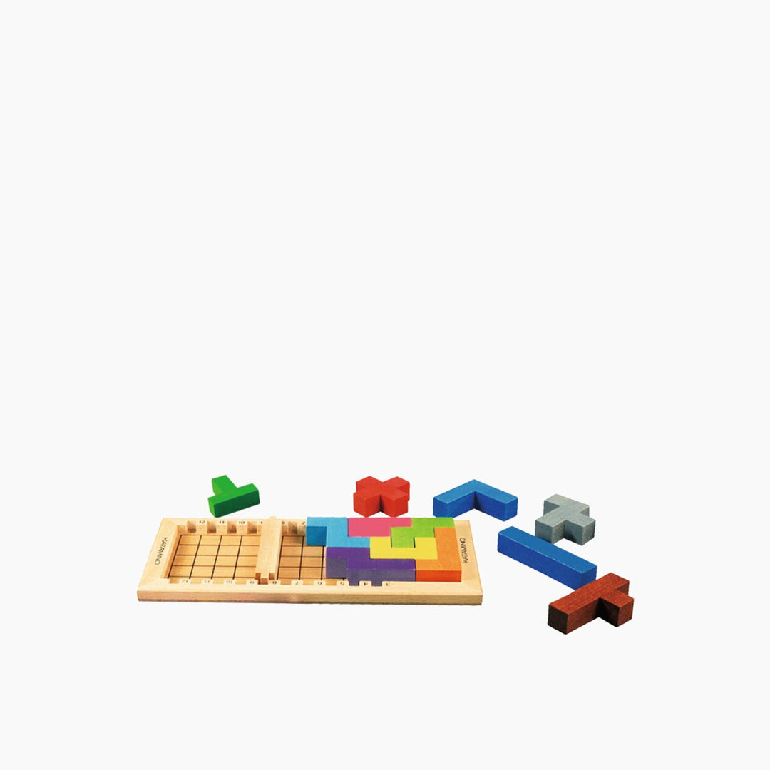 Superheated Neurons Katamino Board Game
