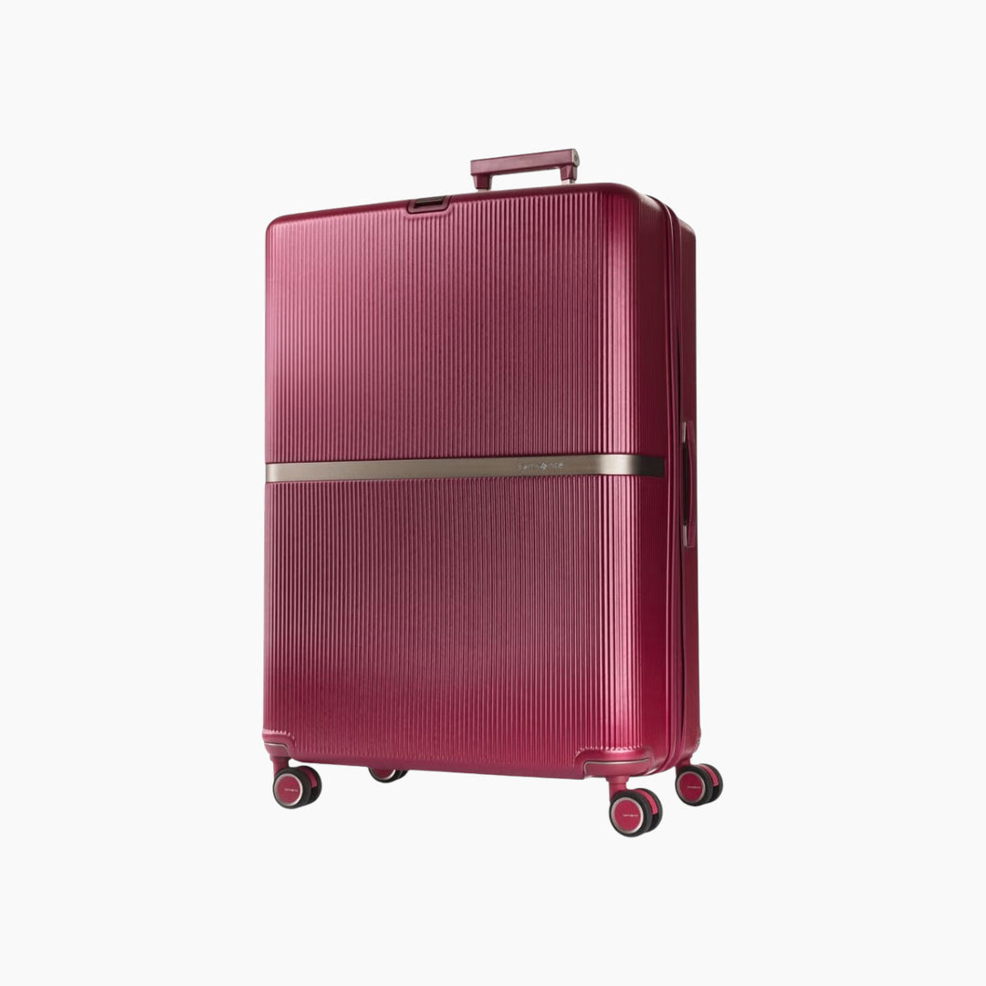 Samsonite Minter Spinner Suitcase