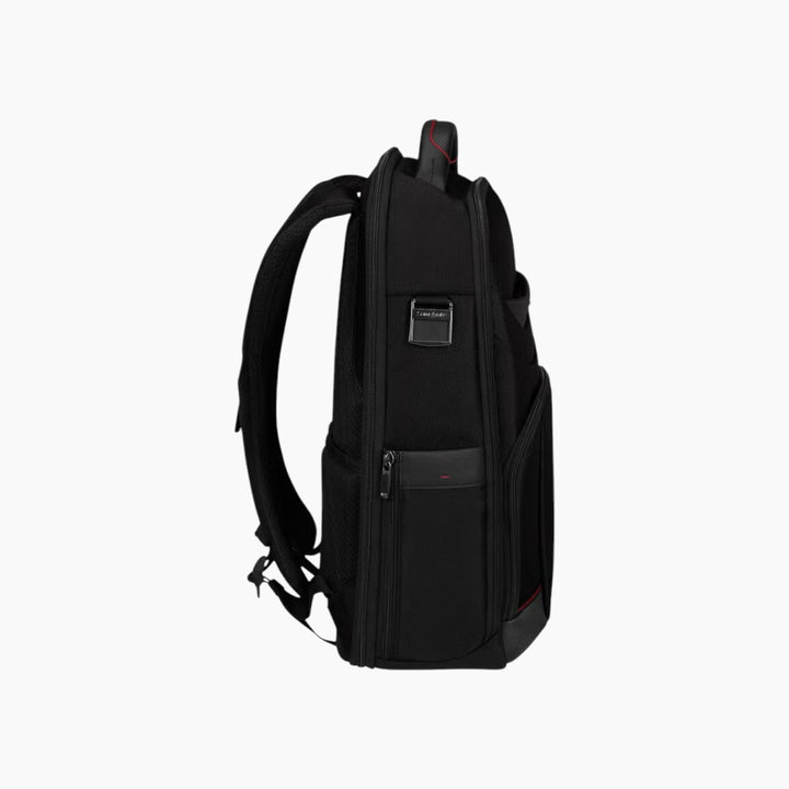 Samsonite Pro-Dlx 6 Laptop Backpack