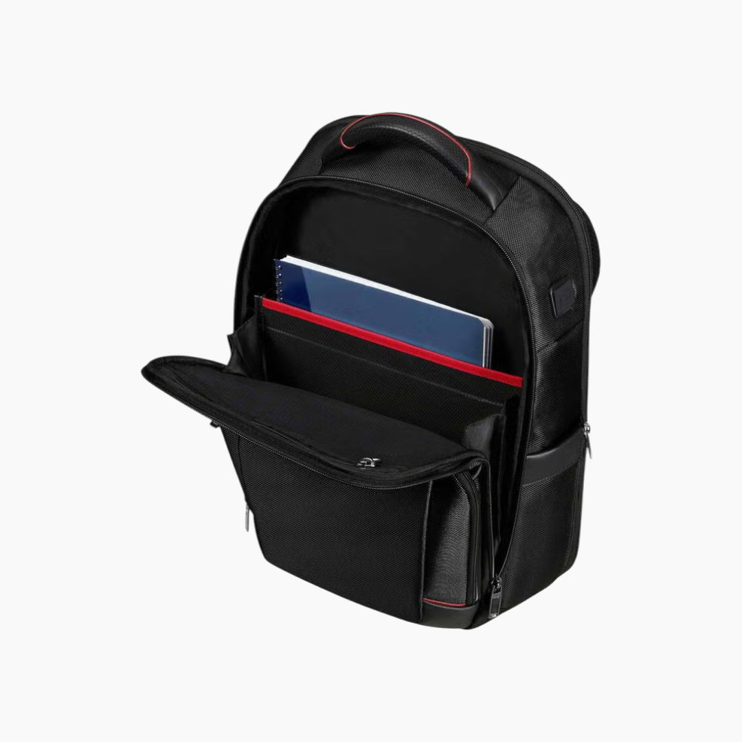 Samsonite Pro-Dlx 6 Laptop Backpack