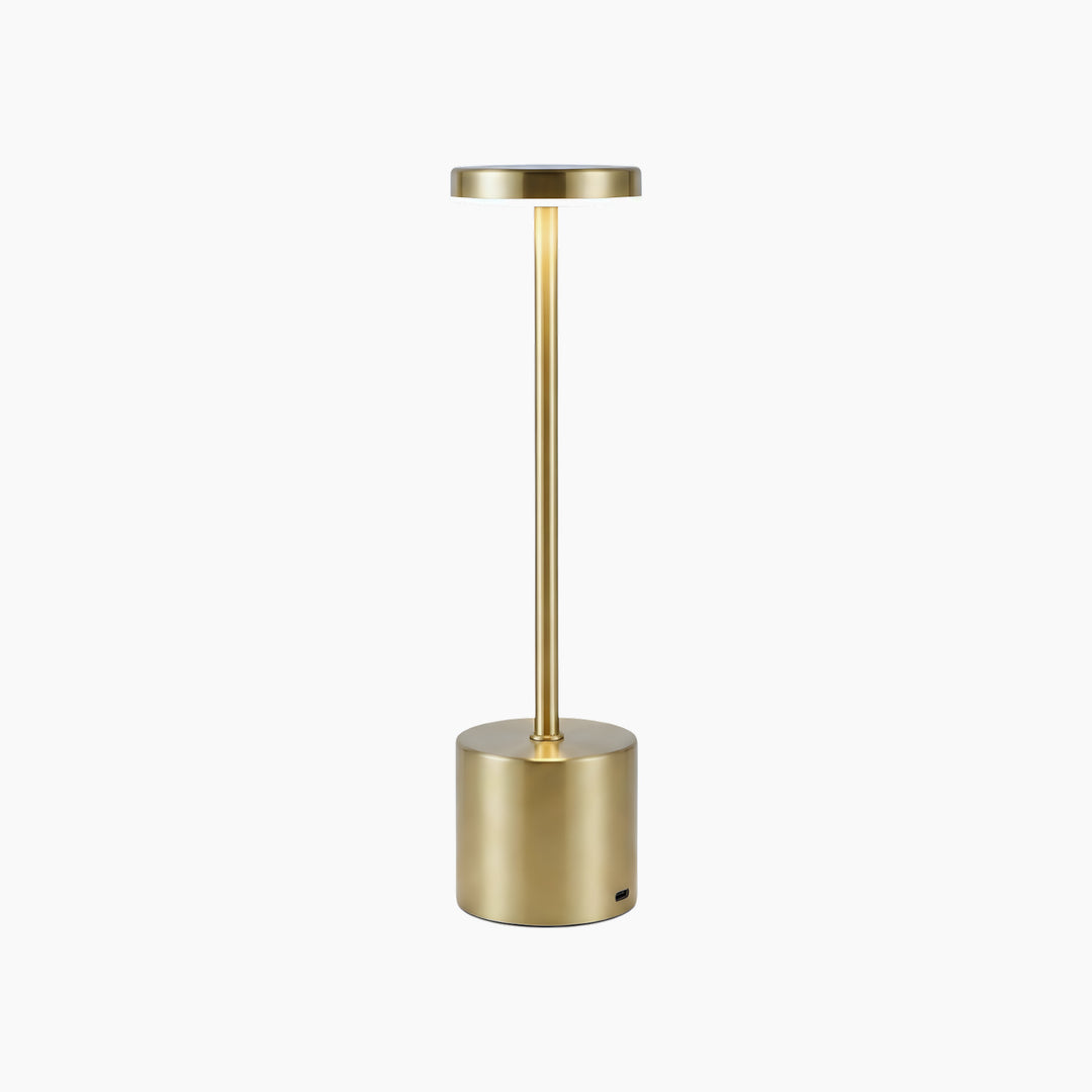 Necessary Light Modern Minimalist LED Table Lamp