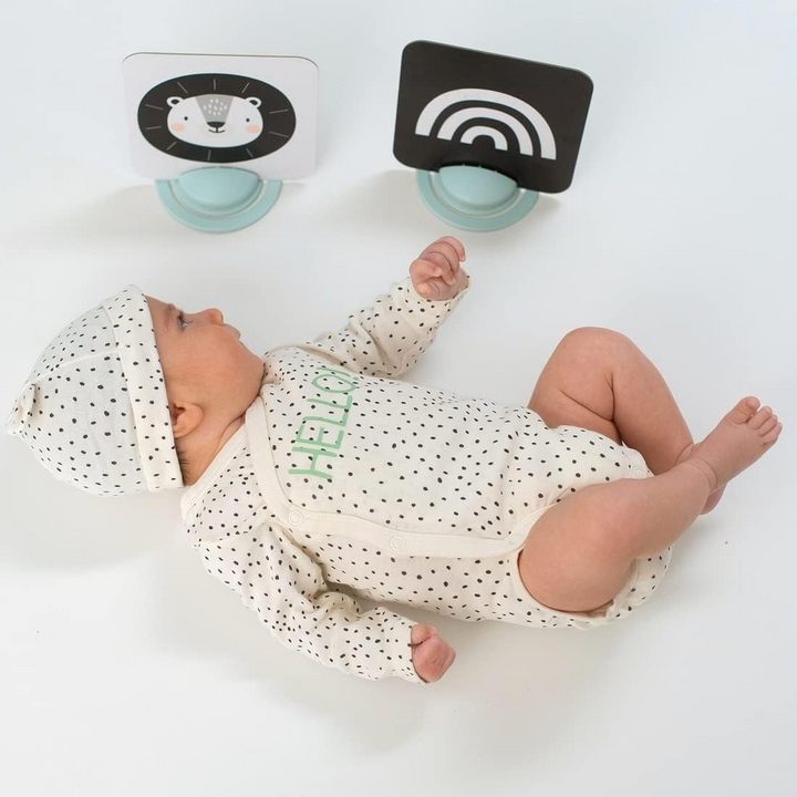 TAF Toys My 1St Tummy-Time Cards