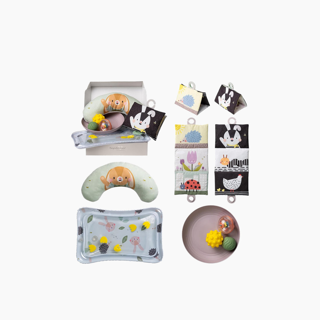 TAF Toys Tummy Time Essentials Kit