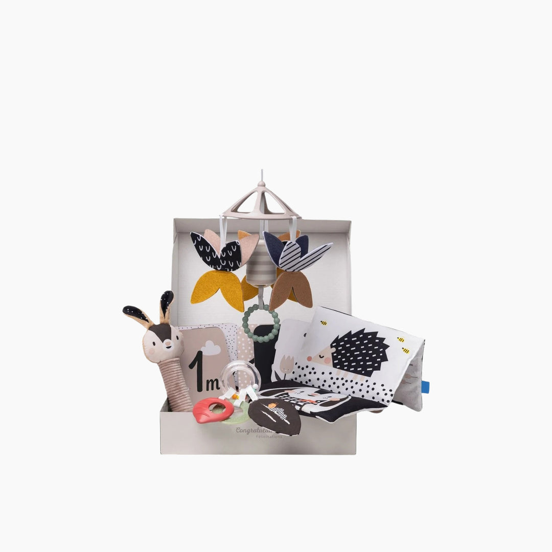 TAF Toys Newborn Black &amp; White Kit