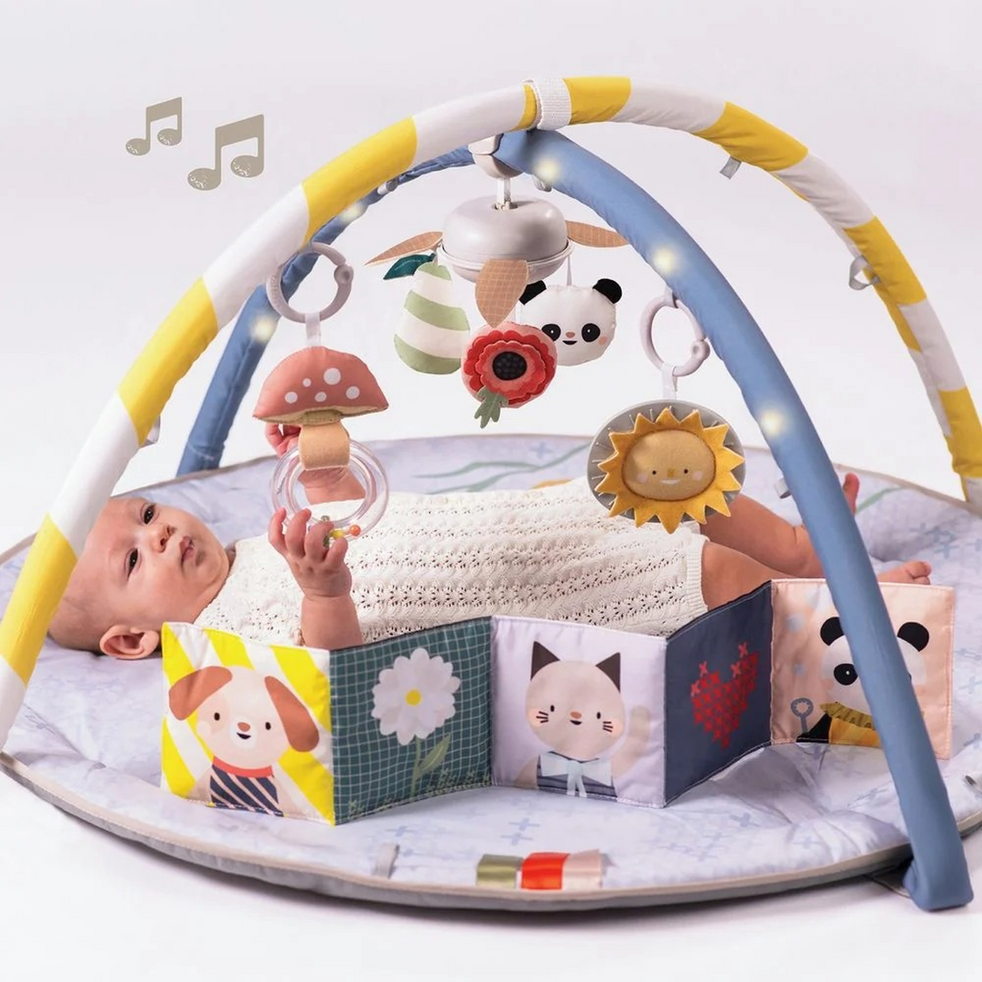 TAF Toys Melody Bloom Gym