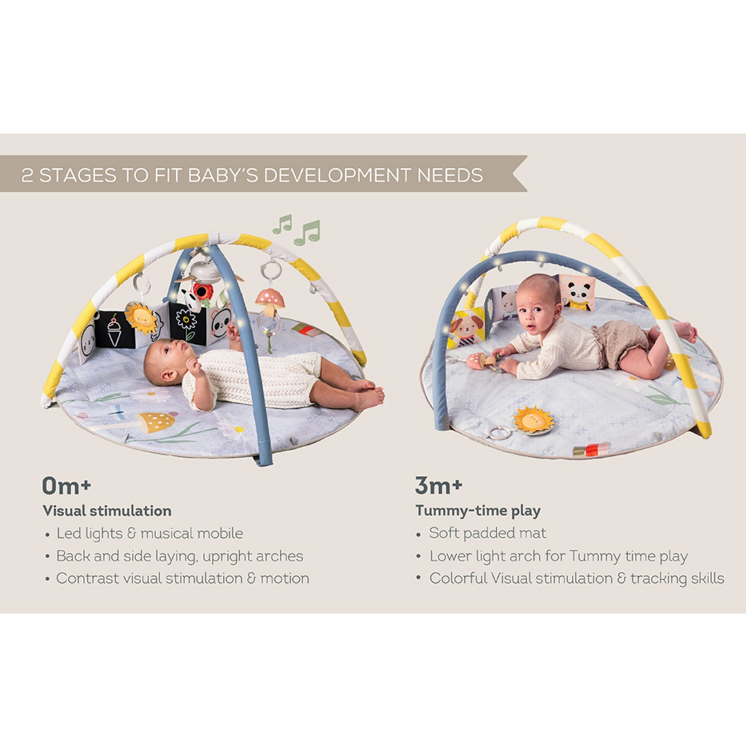 TAF Toys Melody Bloom Gym