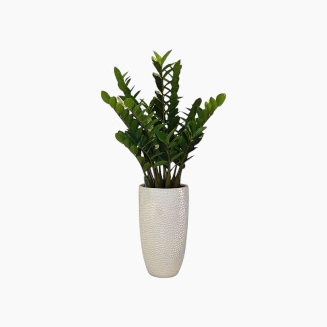 Nova Home Bliss Artificial Flower Arrangement - HUNA