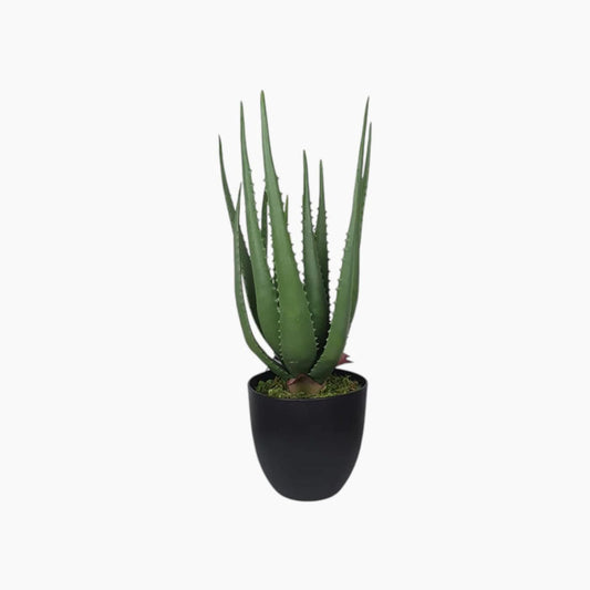 Nova Home Aloe Artificial Plant 55cm - Green