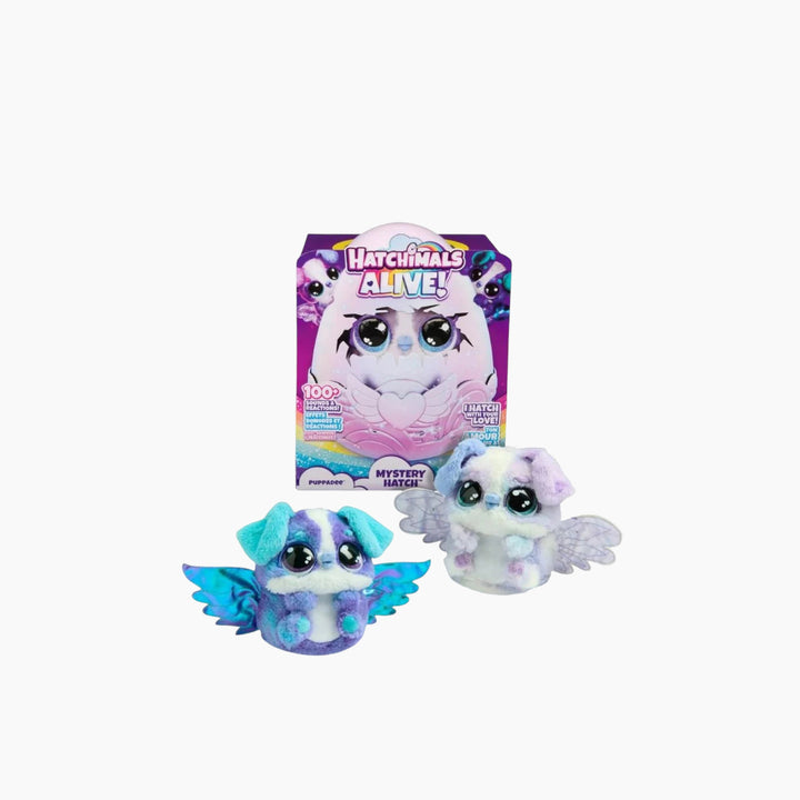 Spin Master Hatchimals Alive Secret Assorted - HUNA