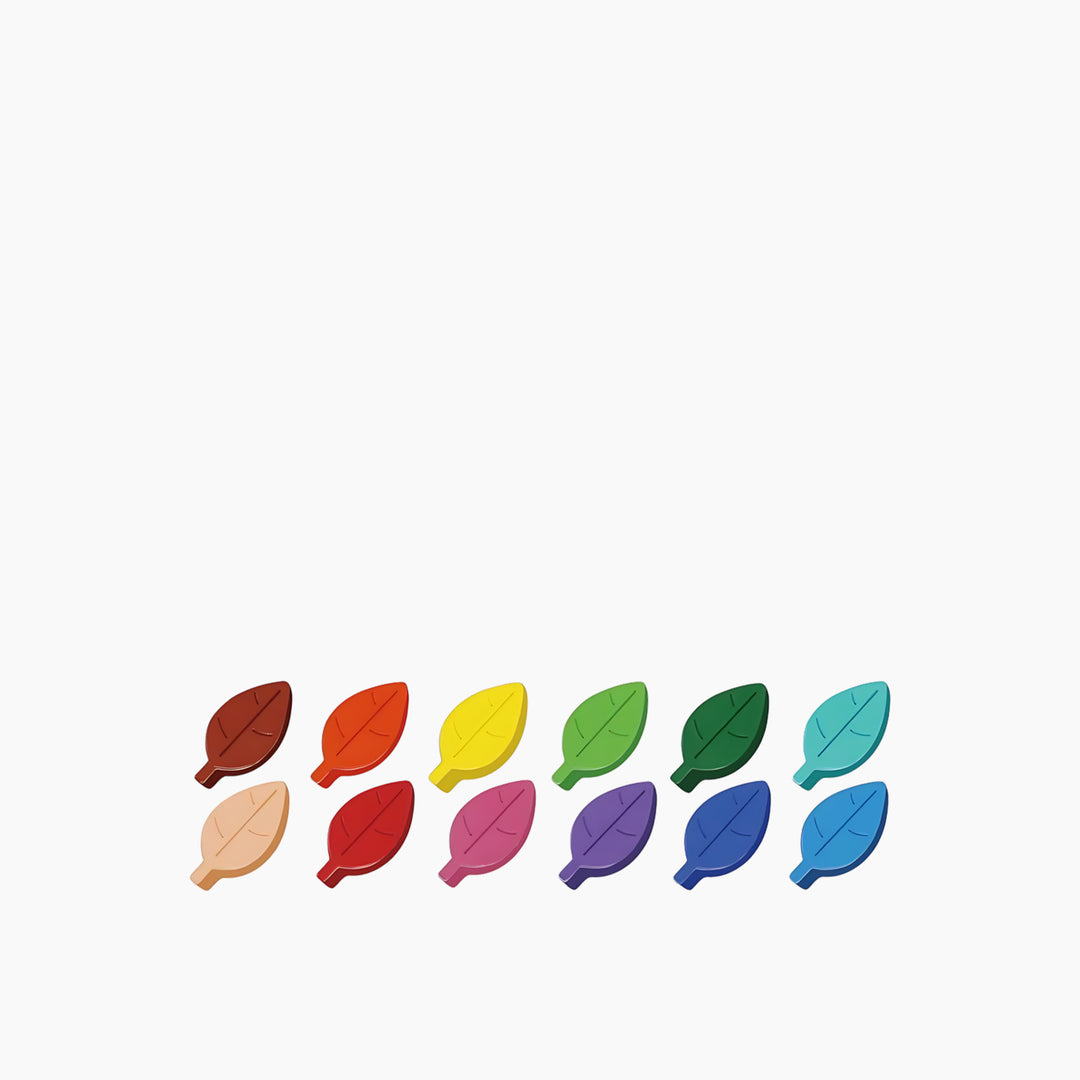 Avenir Crayon Activity Kit-Forest Concert