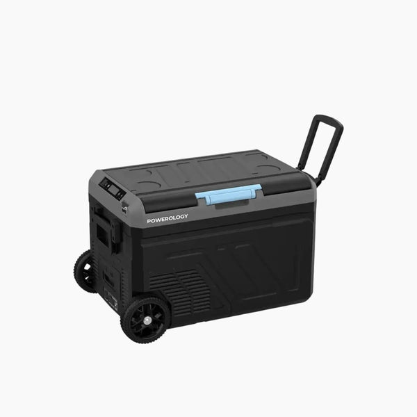 Dual Compartment Smart Fridge And Freez