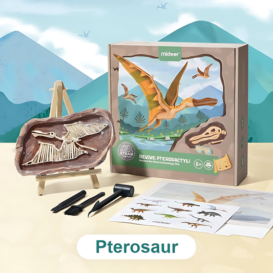 Mideer-Steam Game Revive Pterosaur