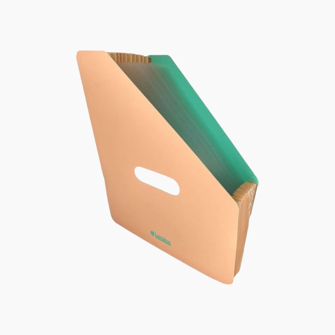 Sworld A4 Expanding File