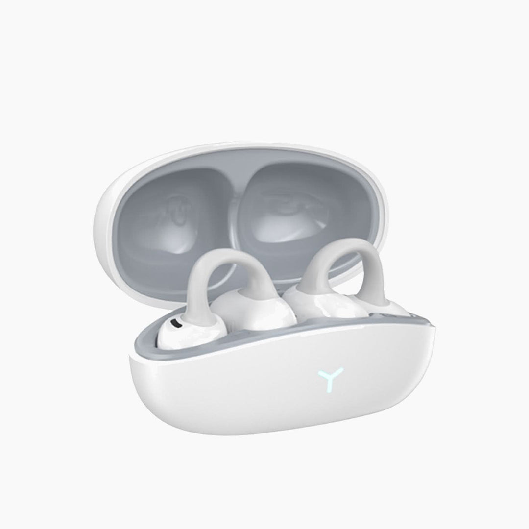 Wiwu PandoraTWS T17 Wireless Earbuds