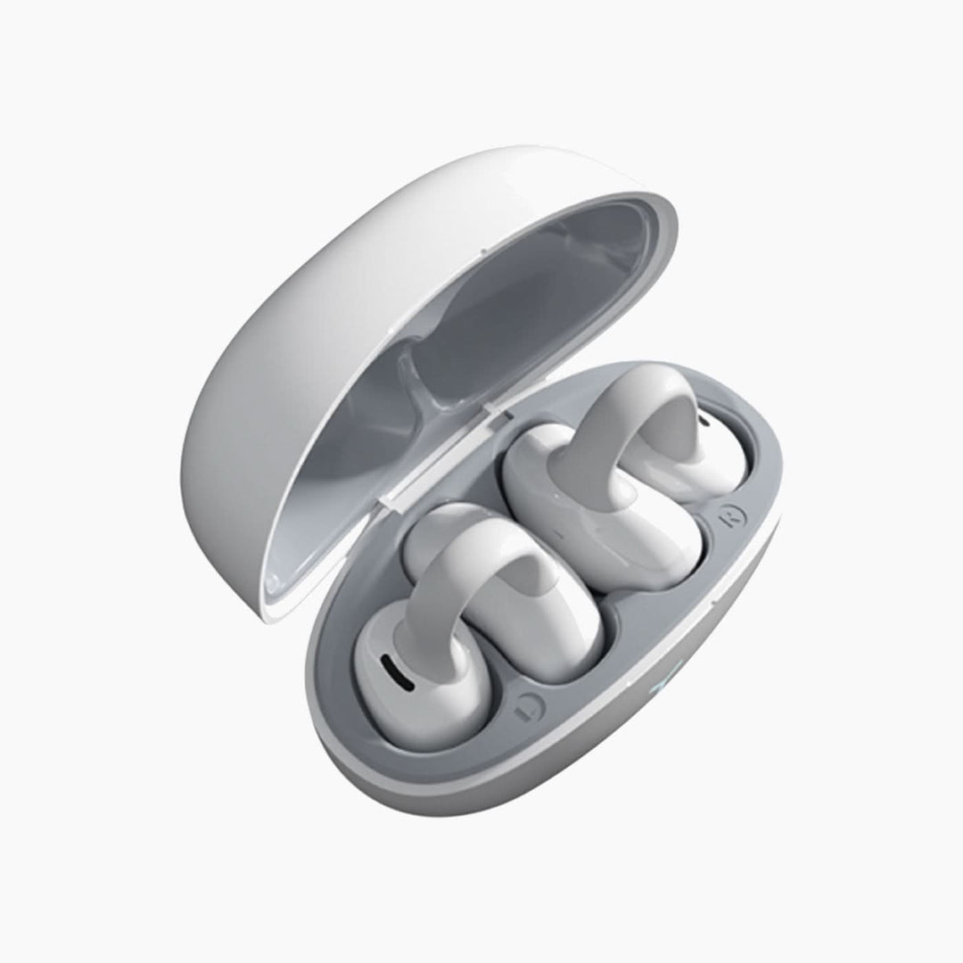 Wiwu PandoraTWS T17 Wireless Earbuds