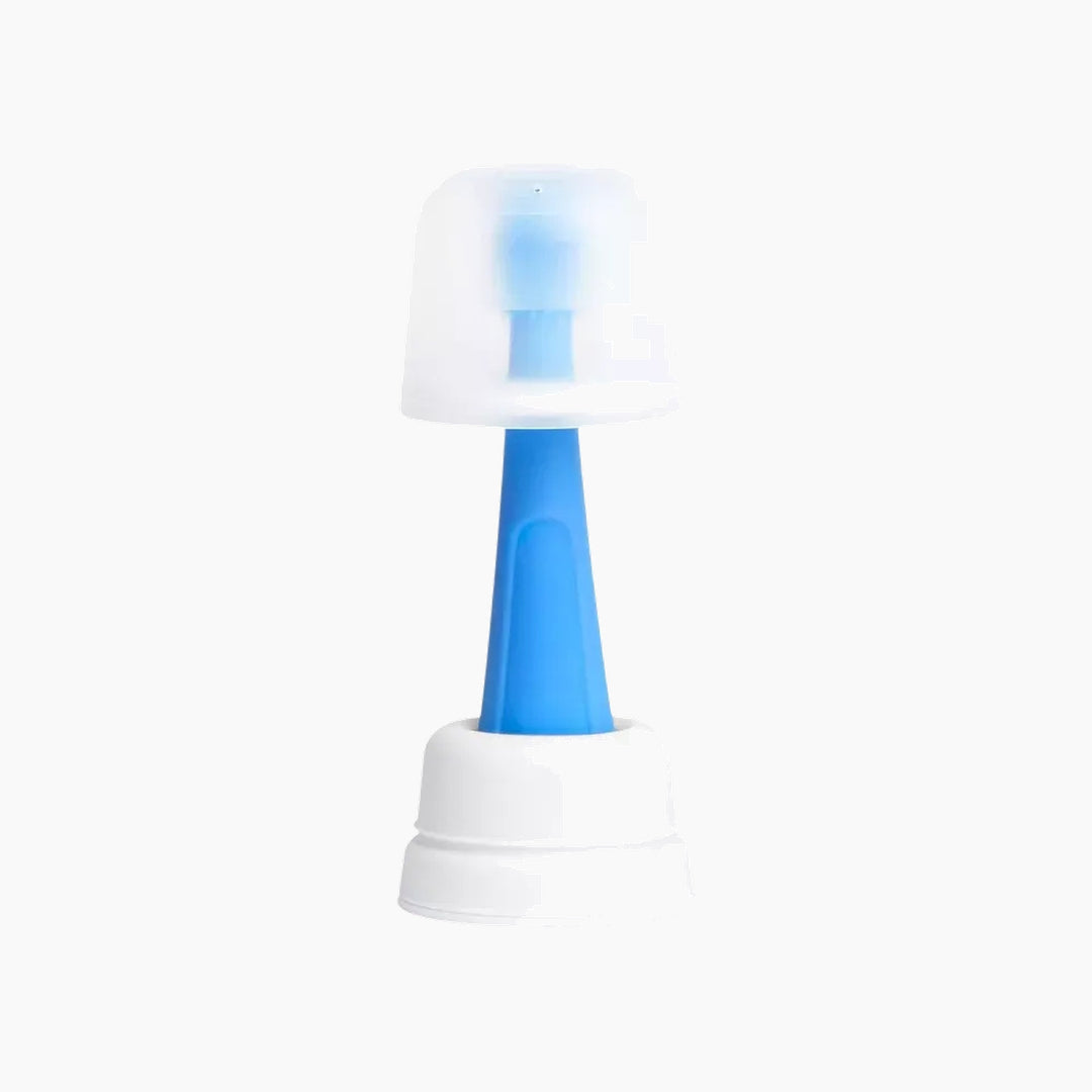 Ubbi 1 Training Toothbrush + 1 Case, Polaris