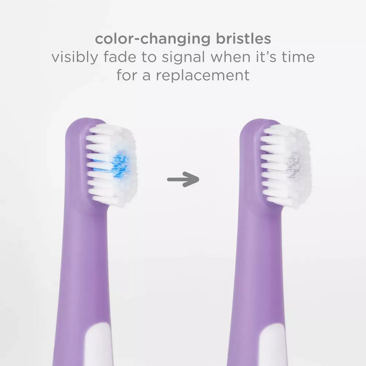 Ubbi 2 Bristled Toothbrush, Purple + Zest