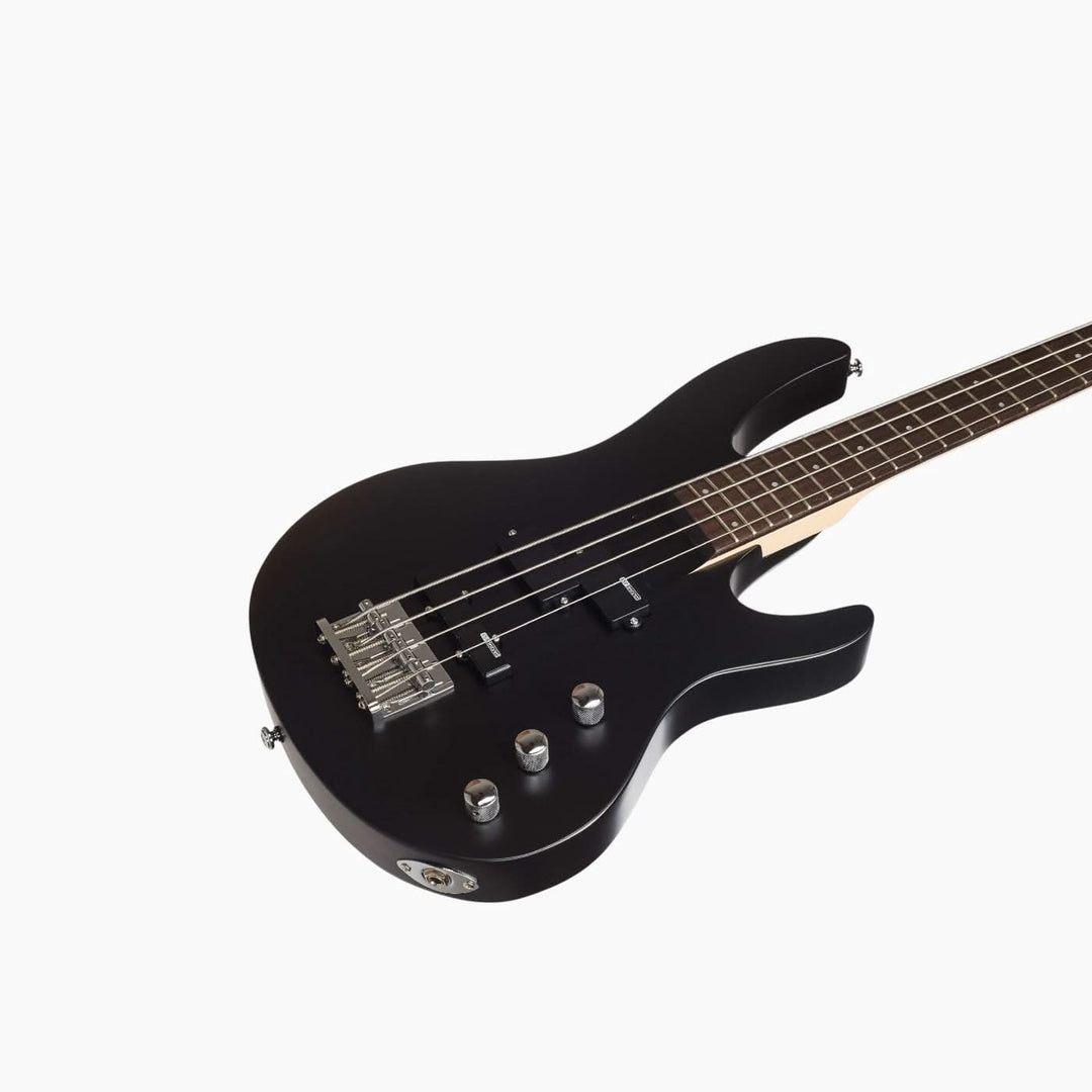 ESP Guitars LTD B-10 Bass Guitar
