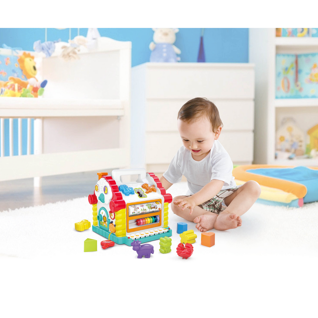 Hola Activity House Shape Sorter Toy
