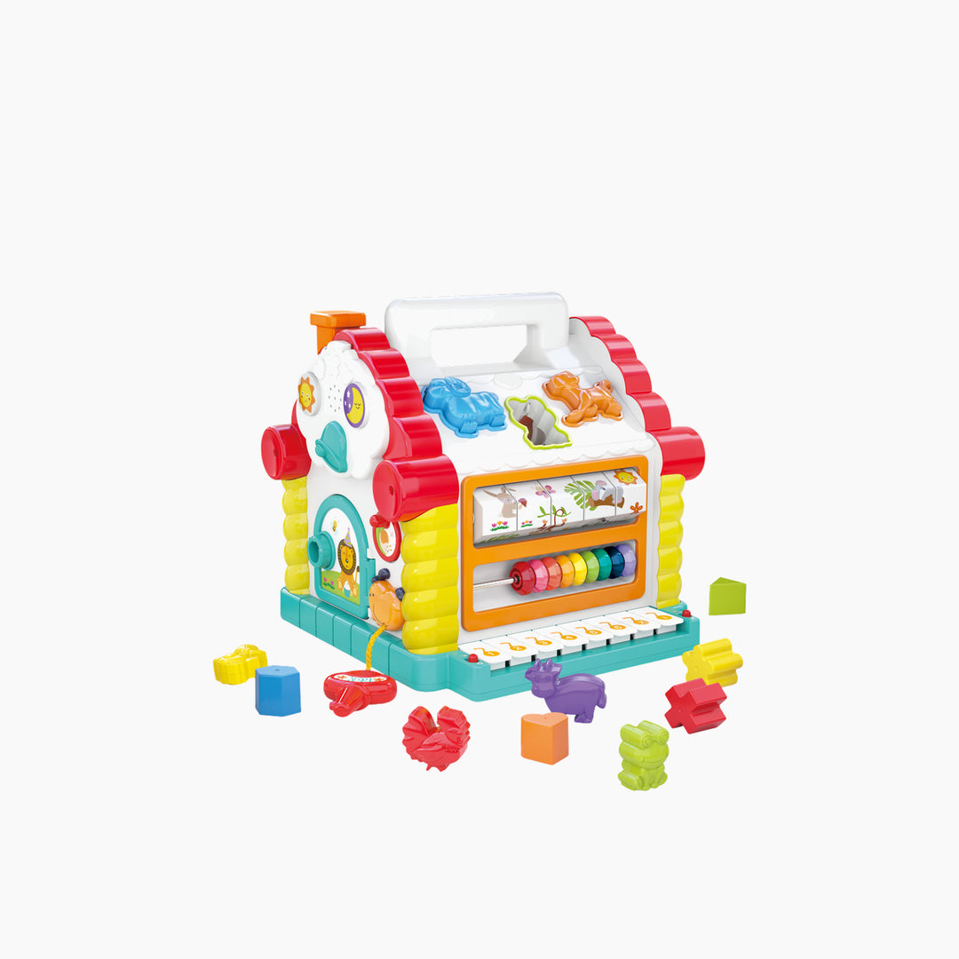 Hola Activity House Shape Sorter Toy