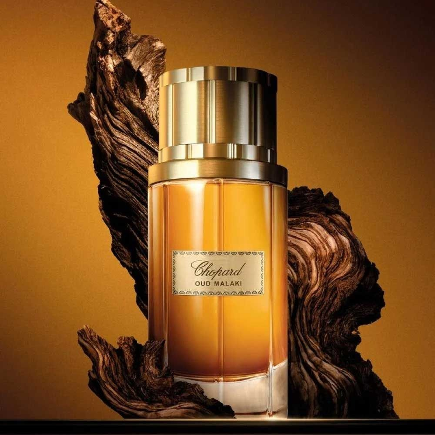 Chopard Oud Malaki EDP 80Ml For Men Chopard Oud Malaki EDP 80Ml For Men