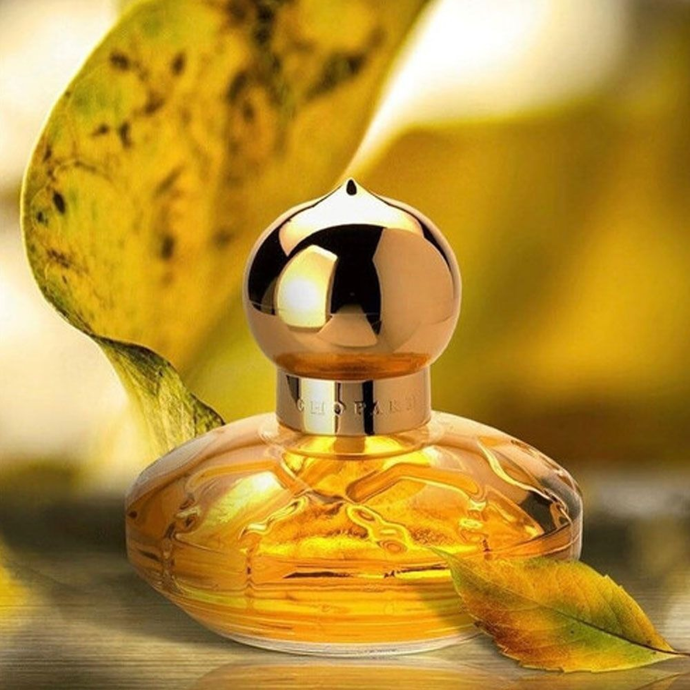 Chopard Casmir EDP 100Ml For Women Chopard Casmir EDP 100Ml For Women