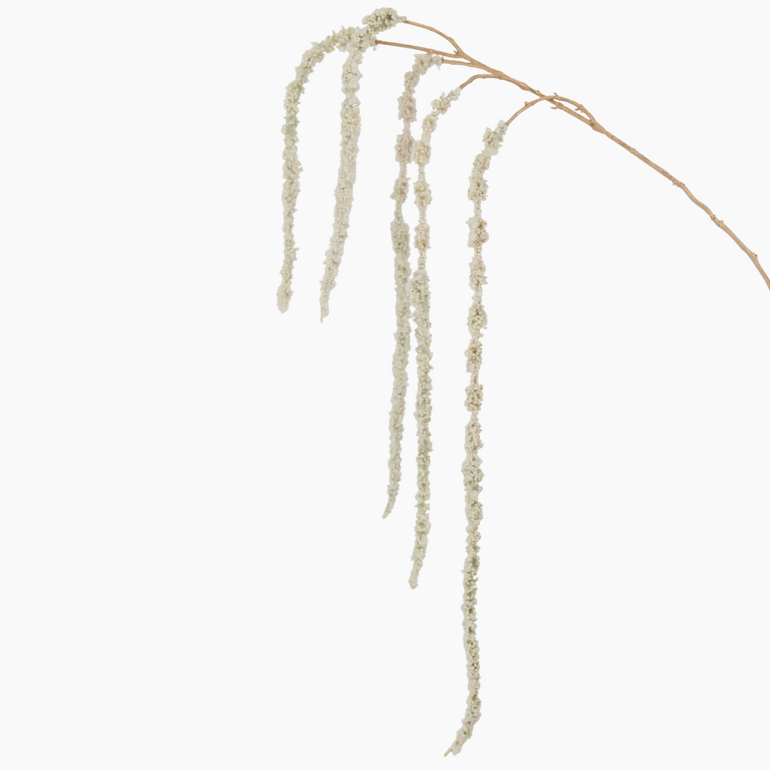 Amaranthus Branch decorative element