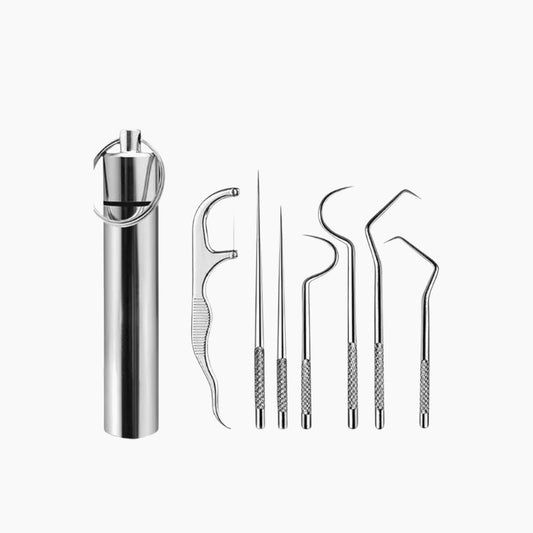 7Pcs Dental Flosser Picks Set, Stainless Steel
