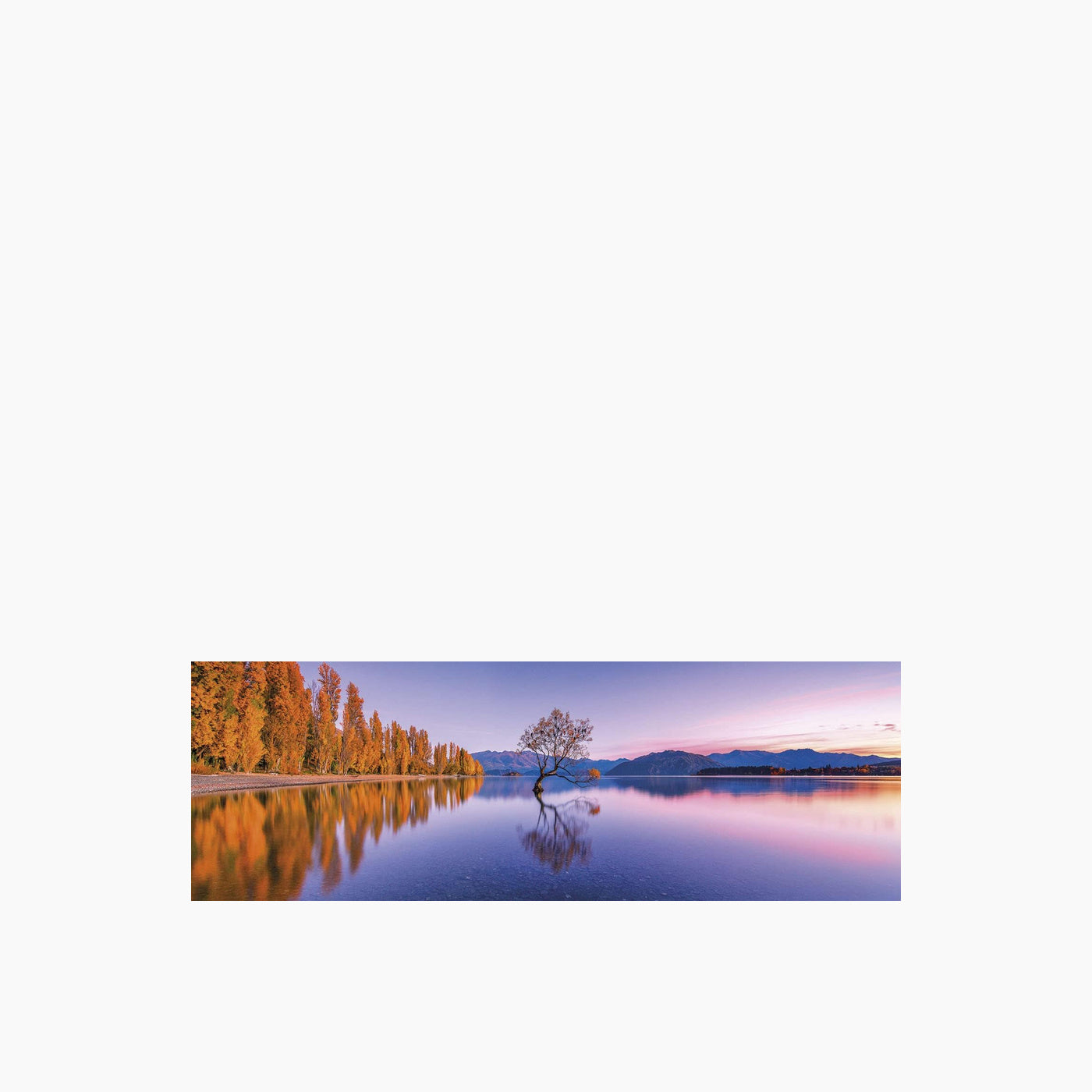 Clementoni Panorama Lake Wanaka Tree Puzzle 1000 Pieces Clementoni Panorama Lake Wanaka Tree Puzzle 1000 Pieces