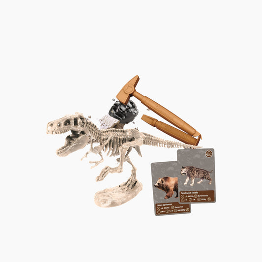 Clementoni Play Lab The History Of Life On Earth