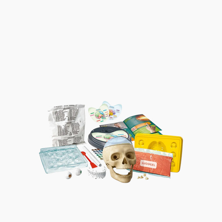Clementoni Anatomy Lab Science Kit