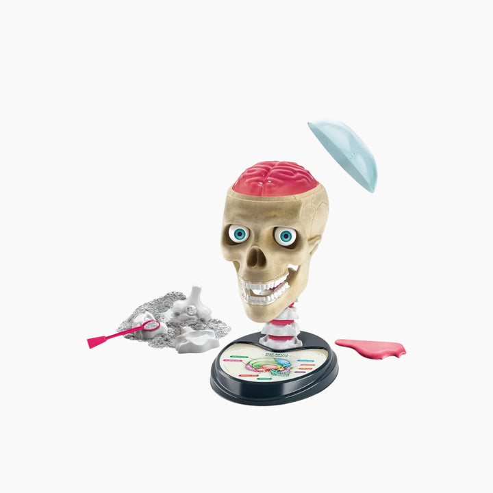 Clementoni Anatomy Lab Science Kit